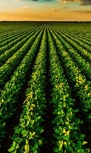 It's Agro Service