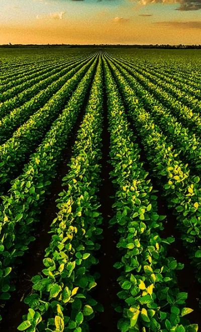 It's Agro Service