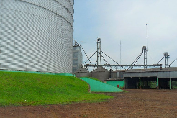 Imagem do serviço: GREEN CONTROL