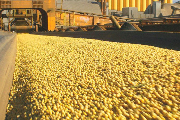 Imagem do serviço: CIP ASPERSÃO LÍQUIDA NA FITA