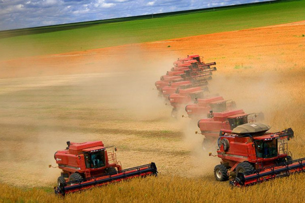 Imagem do serviço: CLASSIFICAÇÃO PORTEIRA ADENTRO (PROPRIEDADE RURAL)