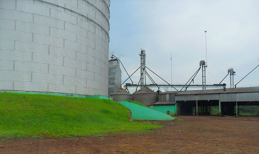 Imagem ilustrativa de GREEN CONTROL